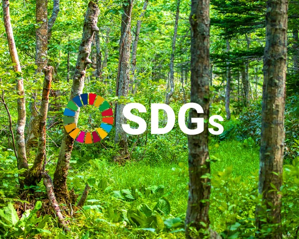 SDGs