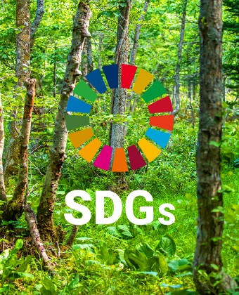 SDGs